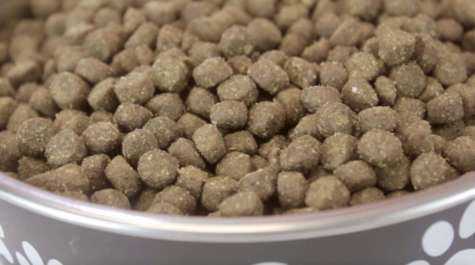 How to Choose the Best Dog Food for Your Healthy & Happy Dog