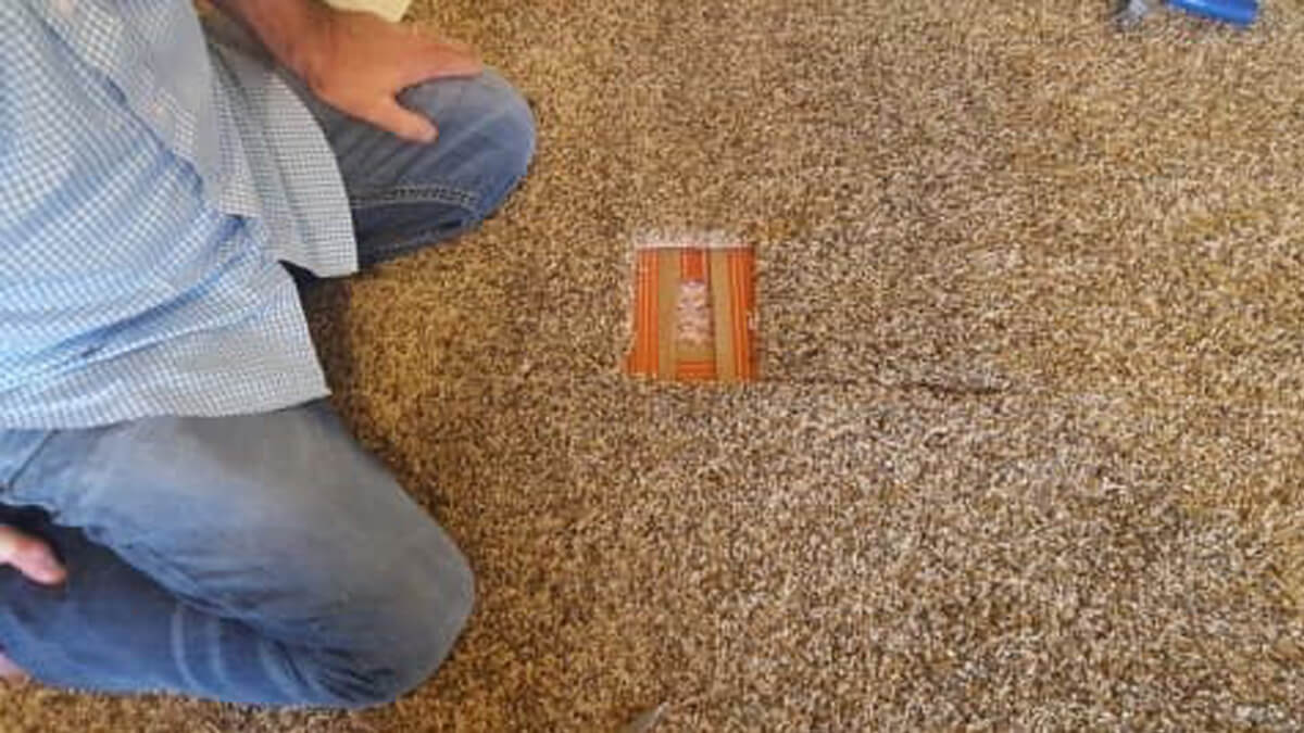 5 Tips for Carpet Torn Repair in a Timely Manner