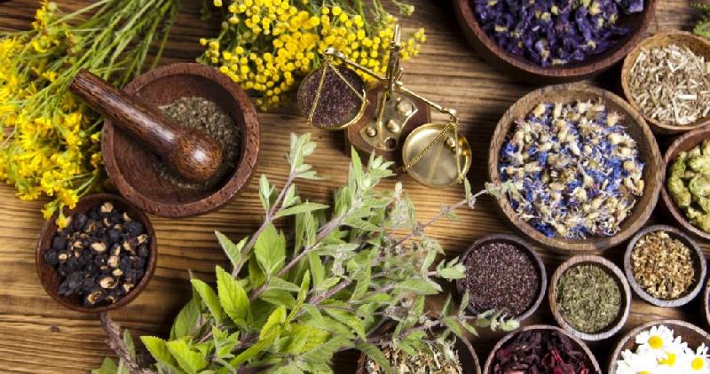 Clinical Benefits and Uses of Organic Herbs