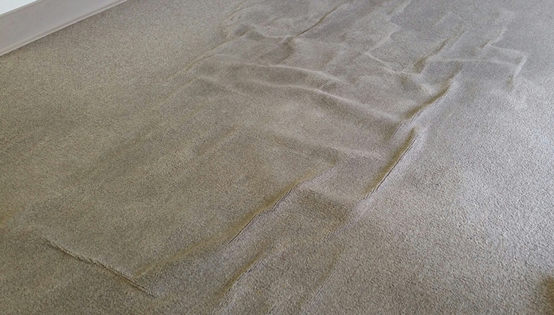 carpet wrinkle repair